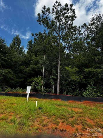 7443 Kates Grove Way, Huntersville, NC 28078