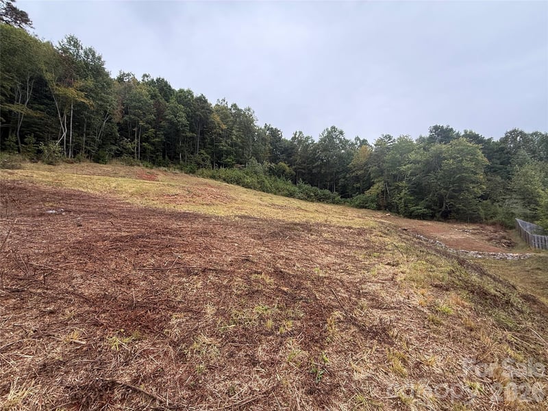 87 Starwood Valley Trl, Arden, NC 28704
