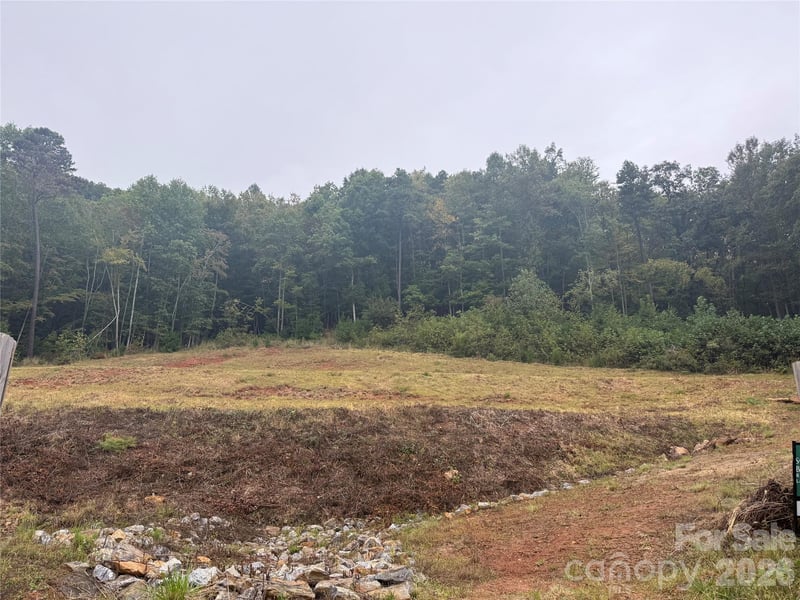 87 Starwood Valley Trl, Arden, NC 28704