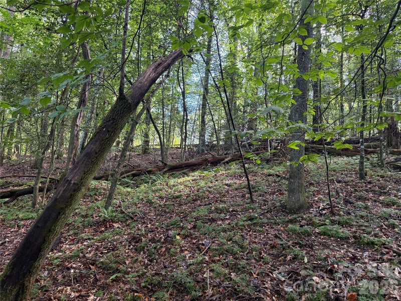 000 Reserve Way #10, Hendersonville, NC 28792
