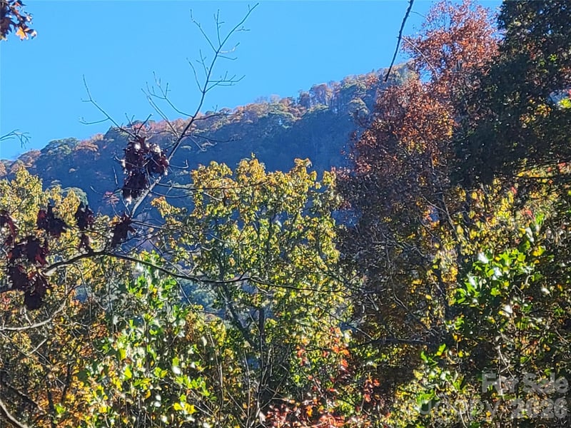 00 Quail Mountain Ln #23, Waynesville, NC 28786