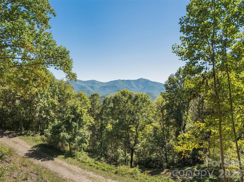 00 Mcnary Dr, Clyde, NC 28721