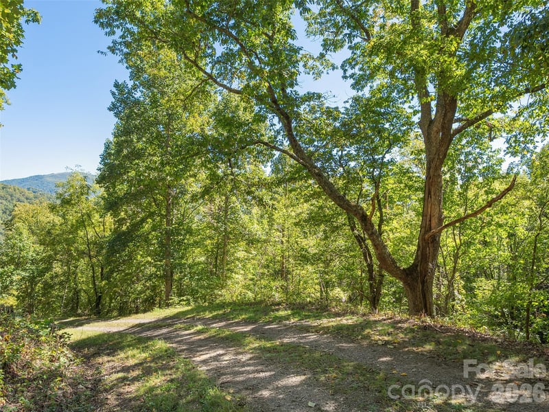 00 Mcnary Dr, Clyde, NC 28721