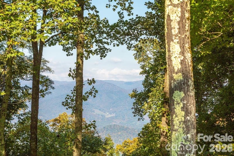 Lot 2 Ball Hooter Rd #2/6, Burnsville, NC 28714
