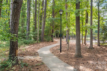 3909 Armitage Dr, Charlotte, NC 28269