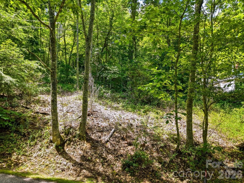 0 Eagles Nest Rd #5, Waynesville, NC 28786