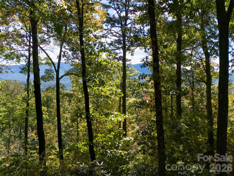 172 Clock Crest Dr, Pisgah Forest, NC 28768