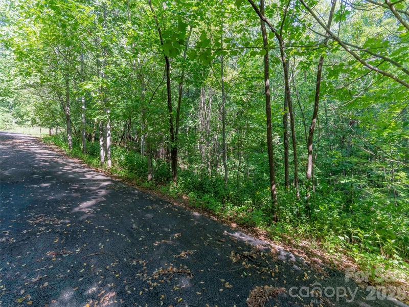 Lot 177 Grafton None, Mill Spring, NC 28756