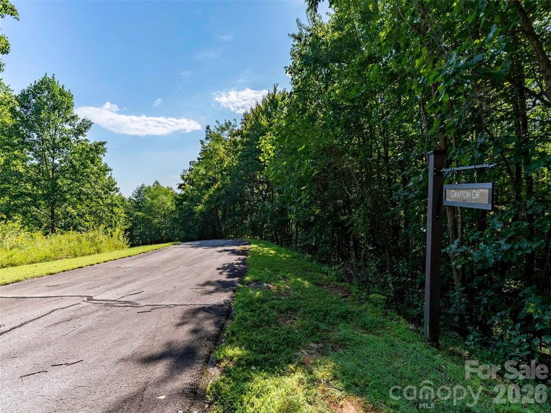 Lot 177 Grafton None, Mill Spring, NC 28756