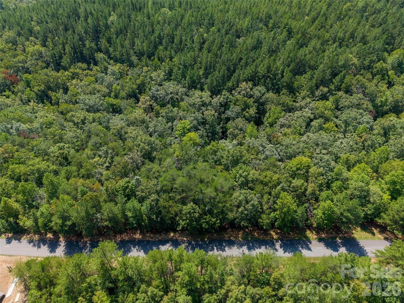 Lot 2010 Deep Gap Farm None W, Mill Spring, NC 28756