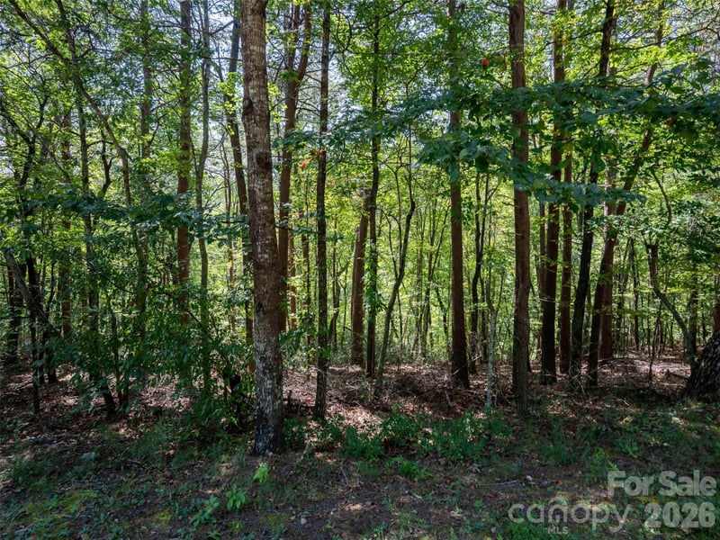 Lot 2010 Deep Gap Farm None W, Mill Spring, NC 28756