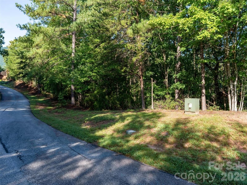 0 Woodward Dr, Mill Spring, NC 28756
