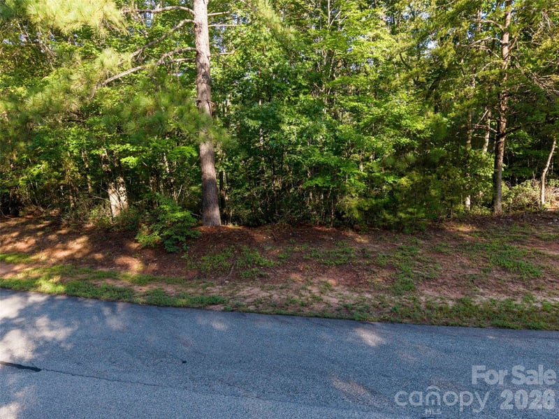 0 Woodward Dr, Mill Spring, NC 28756