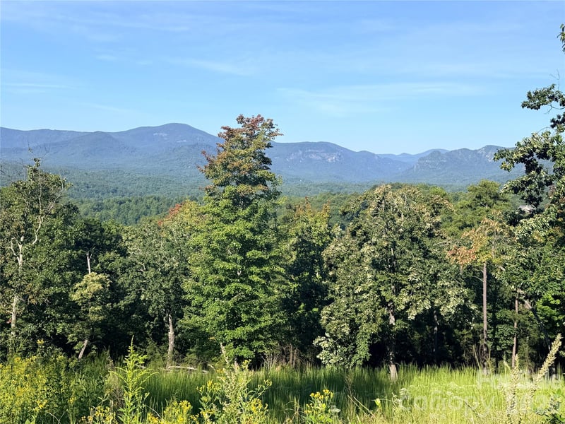 0 Summertime Dr, Lake Lure, NC 28746