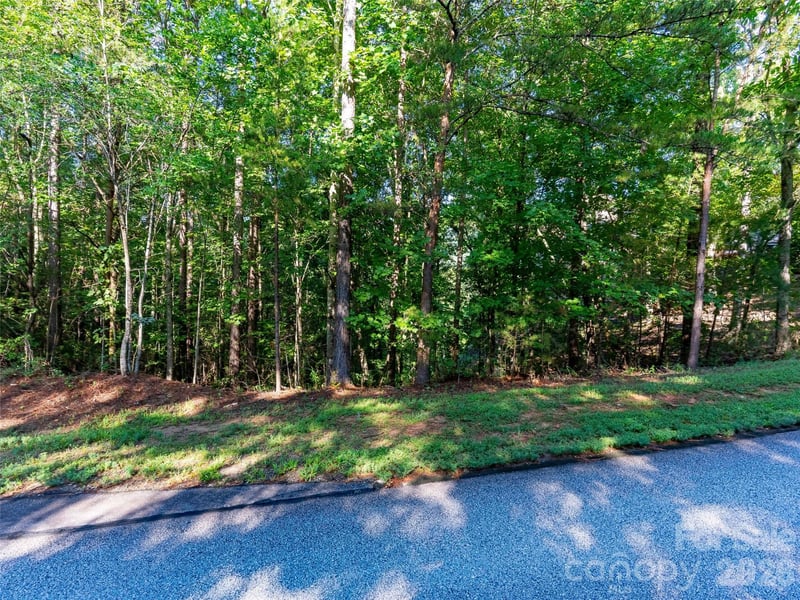 0 Deep Gap Farm Dr E #34, Mill Spring, NC 28756