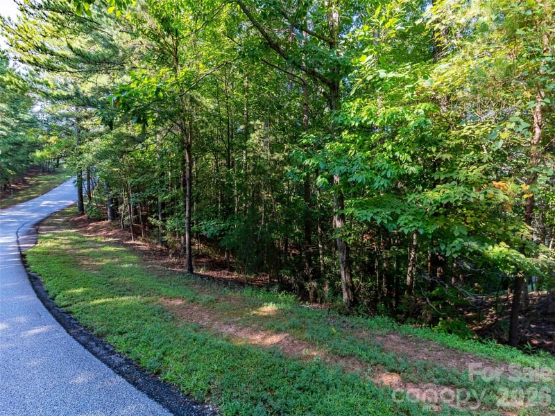 0 Deep Gap Farm Dr E #34, Mill Spring, NC 28756