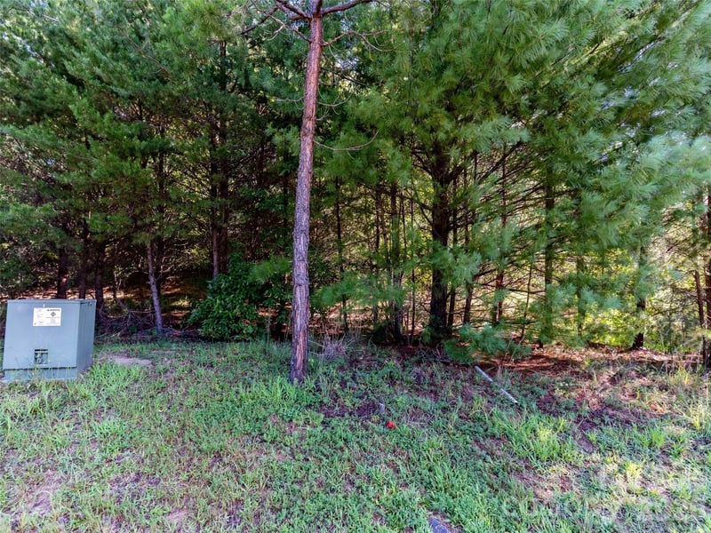 0 Elkton Ct W #138, Mill Spring, NC 28756
