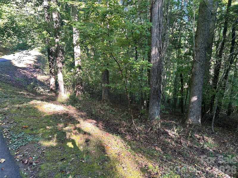 573 Solomon Cir, Hendersonville, NC 28739