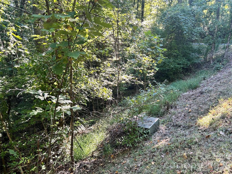 TBD Mt Hebron Rd #36, Hendersonville, NC 28739