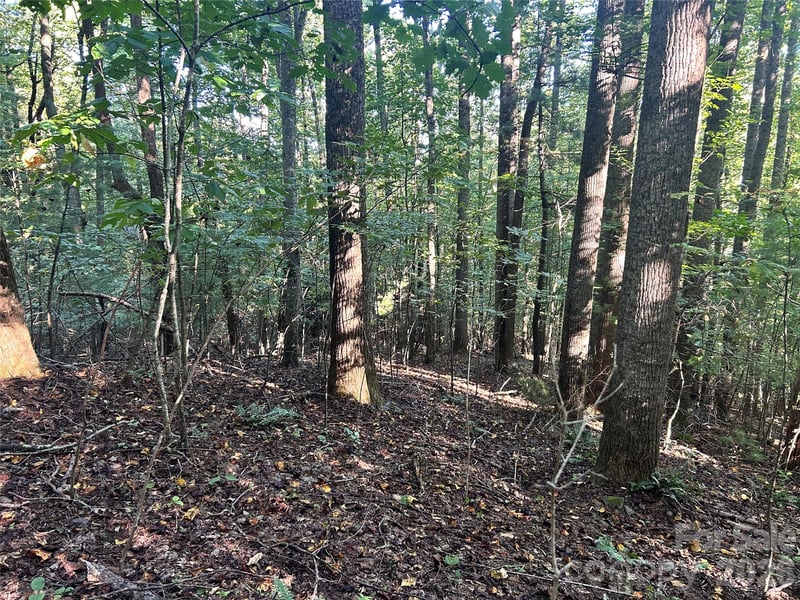 TBD Mt Hebron Rd #36, Hendersonville, NC 28739