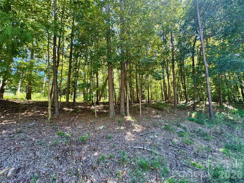 10062 Southwinds Dr, Indian Land, SC 29707