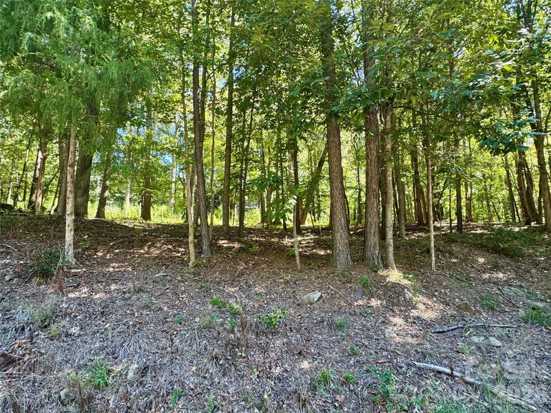 10062 Southwinds Dr, Indian Land, SC 29707