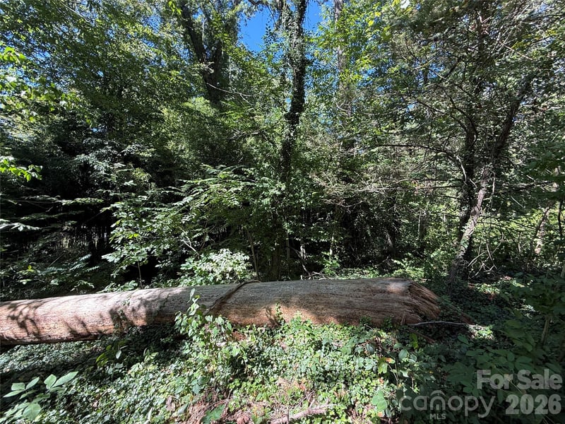 99999 Roebling Cir #39, Asheville, NC 28803
