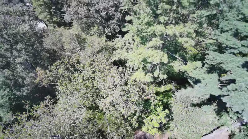 99999 Roebling Cir #37, Asheville, NC 28803
