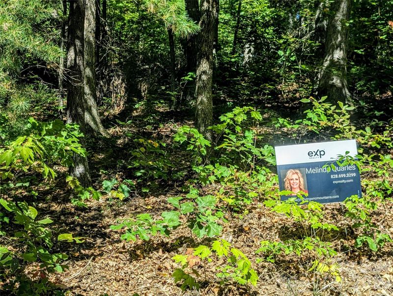 0000 Mackenzie Way, Swannanoa, NC 28778
