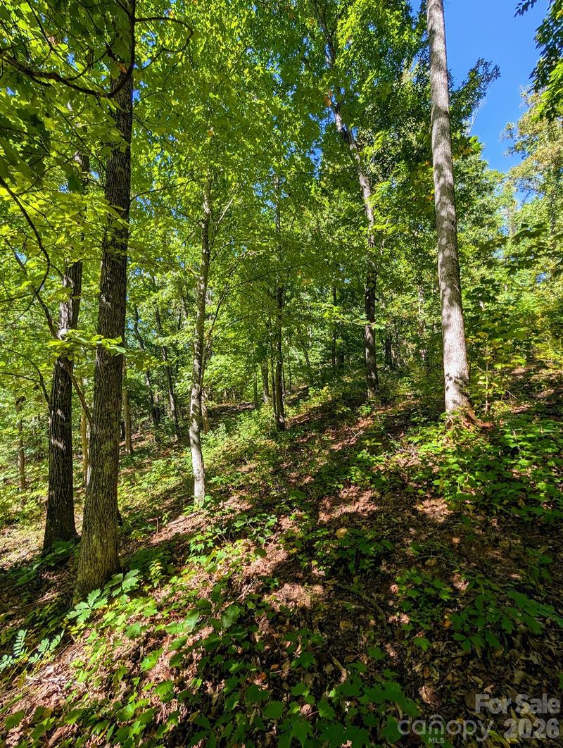 0000 Mackenzie Way, Swannanoa, NC 28778