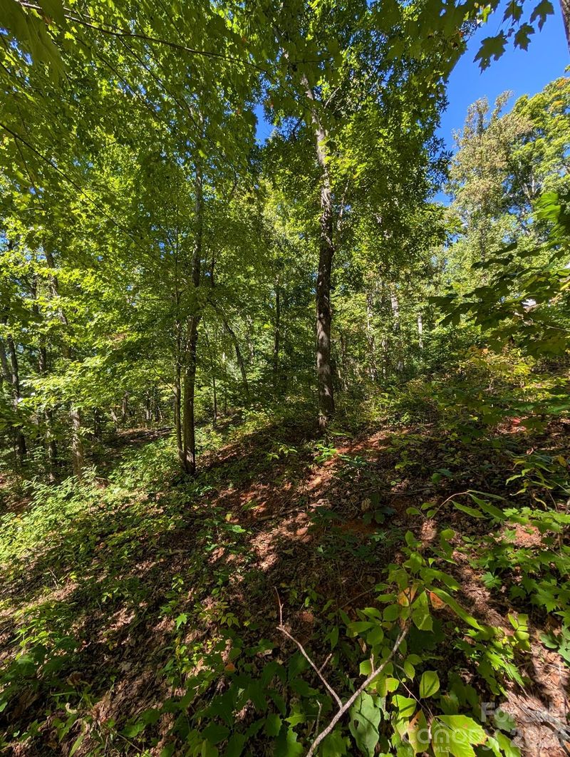 0000 Mackenzie Way, Swannanoa, NC 28778