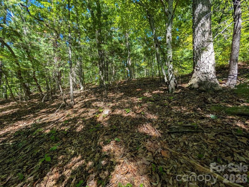 0000 Mackenzie Way, Swannanoa, NC 28778