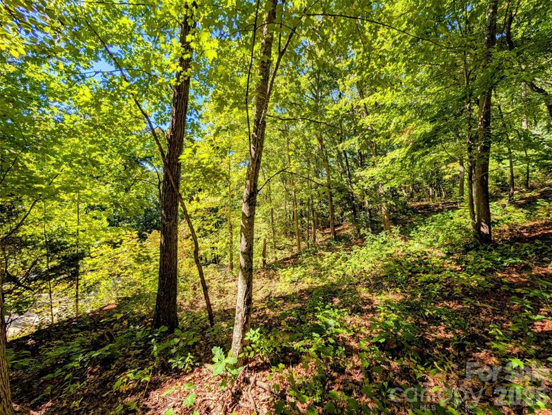0000 Mackenzie Way, Swannanoa, NC 28778