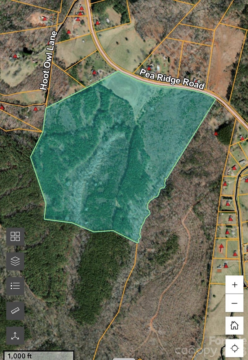 000 Pea Ridge Rd, Mill Spring, NC 28756