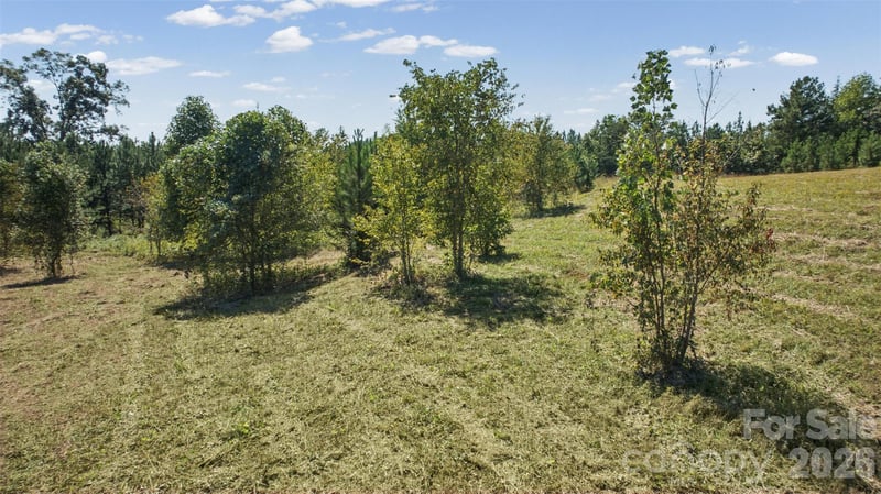 000 Pea Ridge Rd, Mill Spring, NC 28756