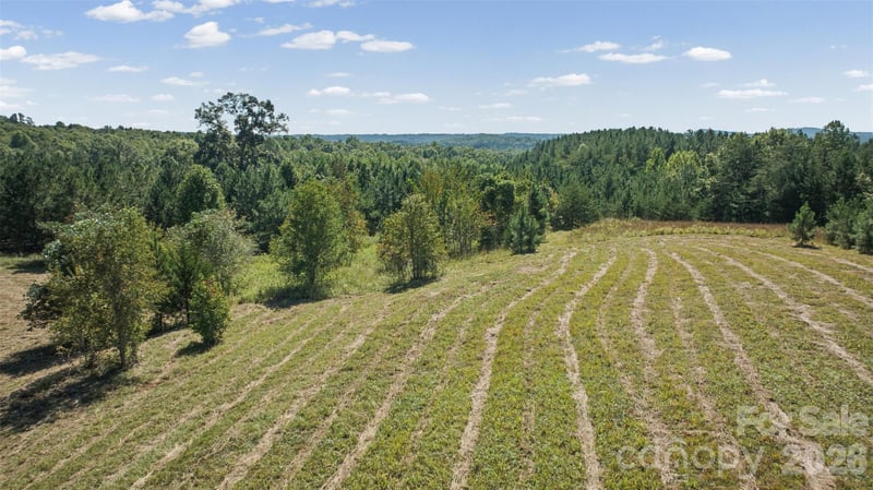 000 Pea Ridge Rd, Mill Spring, NC 28756