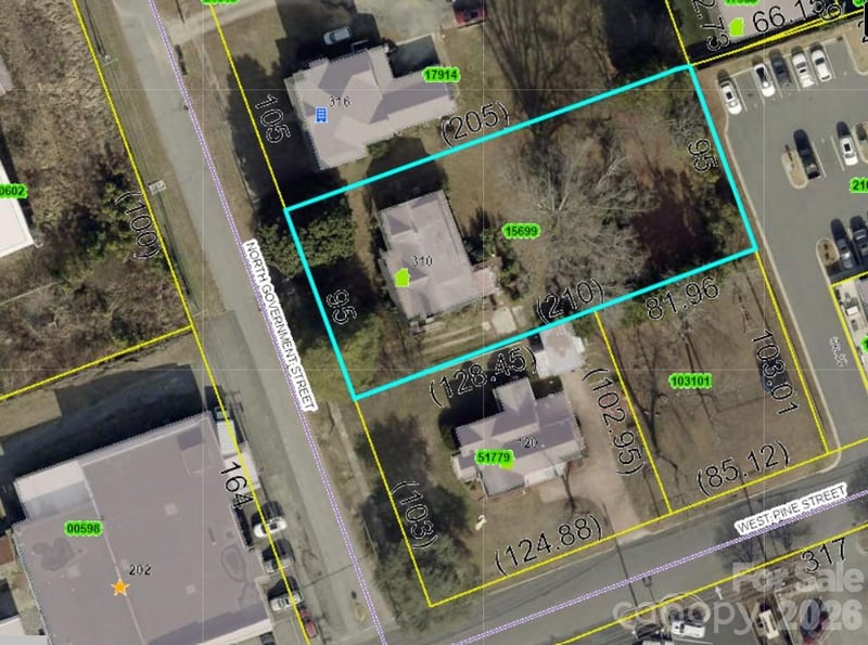 310 N Government St, Lincolnton, NC 28092