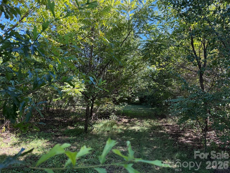 Lot 4 Bronco Ps, East Flat Rock, NC 28731