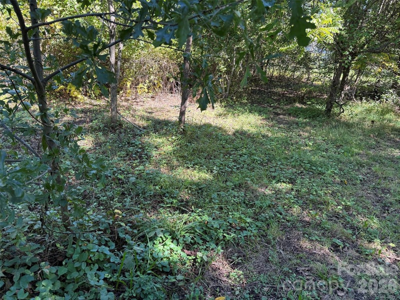 Lot 4 Bronco Ps, East Flat Rock, NC 28731
