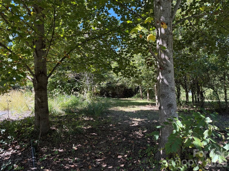 Lot A Bronco Ps, East Flat Rock, NC 28726