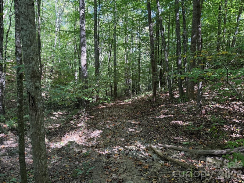 99999 Destiny Farms Dr, Leicester, NC 28748