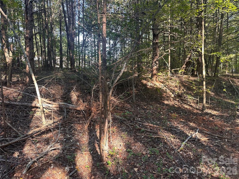 86 Sunrise Trl, Lincolnton, NC 28092