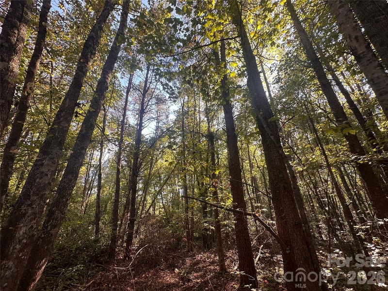 84 Sunrise Trl, Lincolnton, NC 28092
