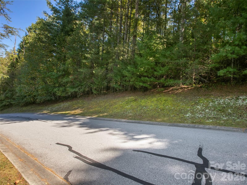 00 Holly Haven Ct #1, Mills River, NC 28759