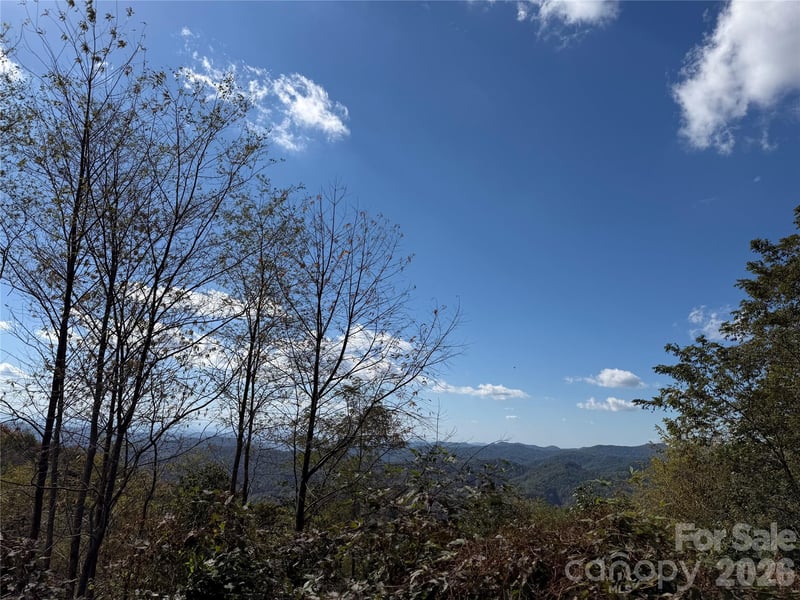 2 Ridge Top Loop, Mars Hill, NC 28754