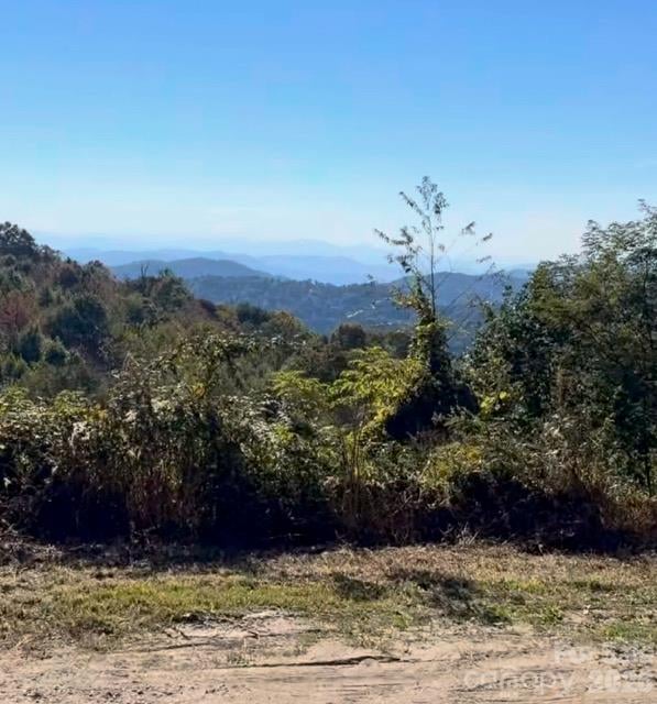 2 Ridge Top Loop, Mars Hill, NC 28754
