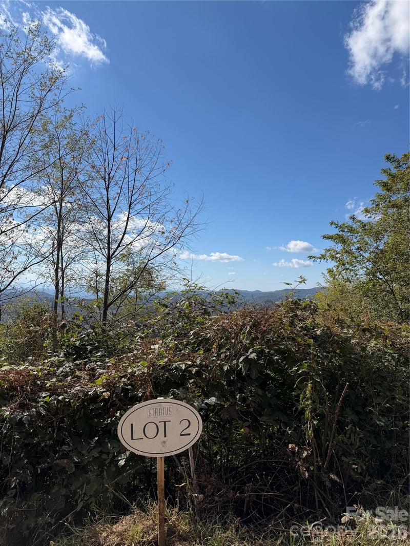 2 Ridge Top Loop, Mars Hill, NC 28754
