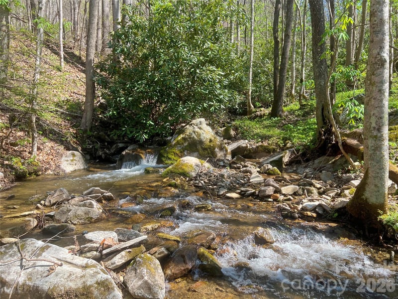 TBD Baltimore Branch Rd, Hot Springs, NC 28743
