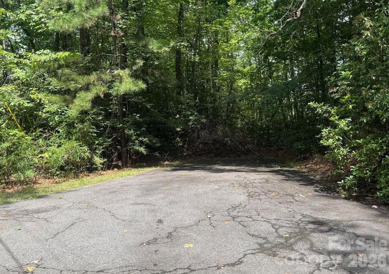 6 David Ct, Brevard, NC 28712