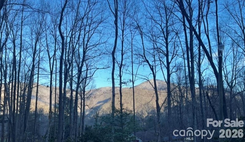 1 Hickory Dr, Maggie Valley, NC 28751